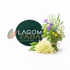 Тютюн для кальяну Lagom MAIN Fjord 40 гр